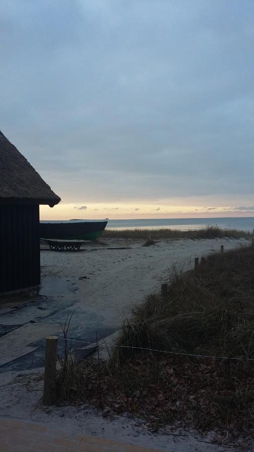 *Strandaster* In Zingst - 100 M Bis Strand, Ruhig, Zentral. Exterior foto