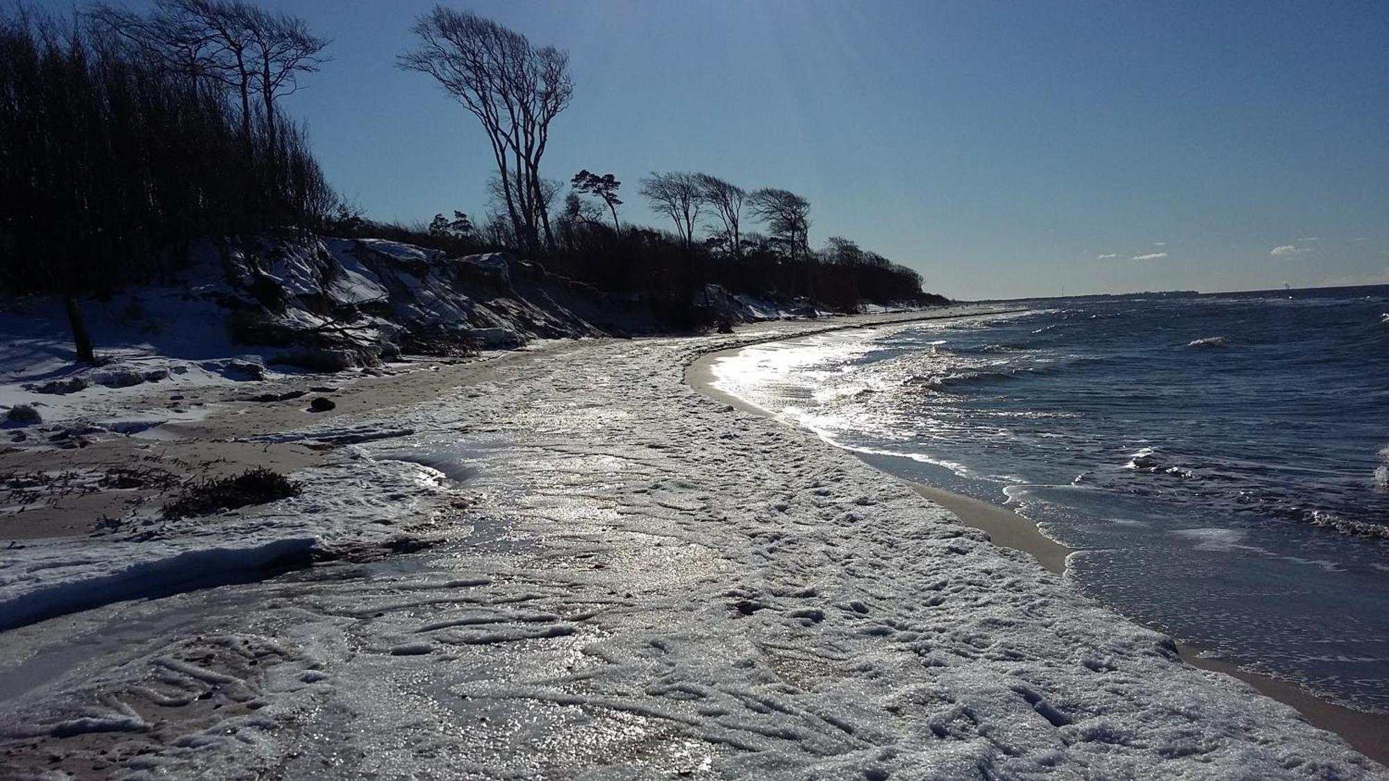 *Strandaster* In Zingst - 100 M Bis Strand, Ruhig, Zentral. Exterior foto