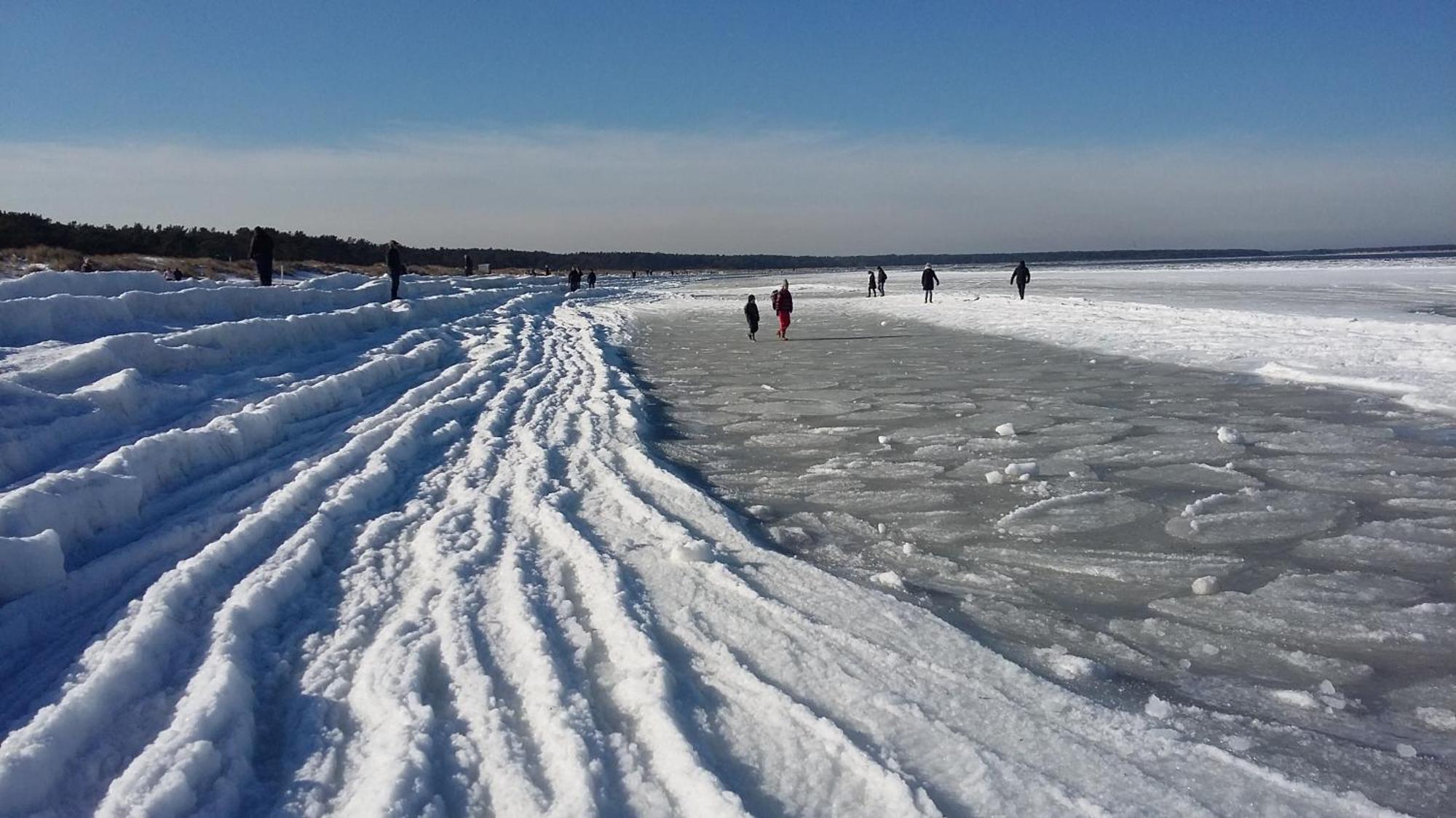 *Strandaster* In Zingst - 100 M Bis Strand, Ruhig, Zentral. Exterior foto